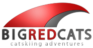 Big Red Cats