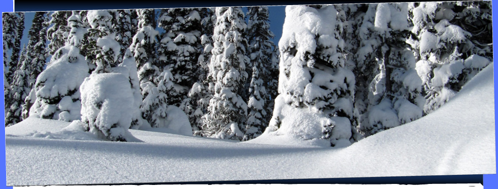 Peak 2 Peak Ski Clinics